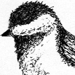 Bird No. 3 by Ryan Barlow