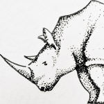 Rhino by Ryan Barlow